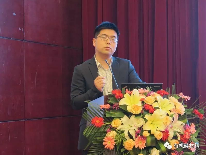 武漢東湖畔的有機(jī)硅思維浪花 ——“新藍(lán)天杯”第七屆硅烷及硅氧烷低聚物技術(shù)信息交流會(huì)成功召開
