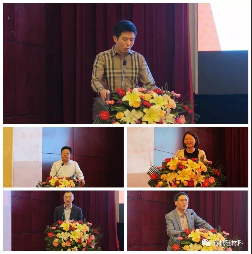 武漢東湖畔的有機(jī)硅思維浪花 ——“新藍(lán)天杯”第七屆硅烷及硅氧烷低聚物技術(shù)信息交流會(huì)成功召開
