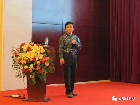 武漢東湖畔的有機(jī)硅思維浪花 ——“新藍(lán)天杯”第七屆硅烷及硅氧烷低聚物技術(shù)信息交流會(huì)成功召開