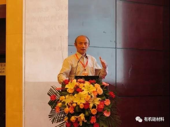 武漢東湖畔的有機(jī)硅思維浪花 ——“新藍(lán)天杯”第七屆硅烷及硅氧烷低聚物技術(shù)信息交流會(huì)成功召開