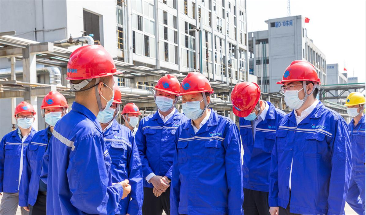 應(yīng)急管理部副部長劉偉到臨新藍(lán)天調(diào)研引導(dǎo)