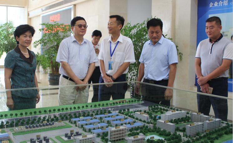 副省長郭生練一行來我司調(diào)研