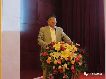 武漢東湖畔的有機(jī)硅思維浪花 ——“新藍(lán)天杯”第七屆硅烷及硅氧烷低聚物技術(shù)信息交流會(huì)成功召開