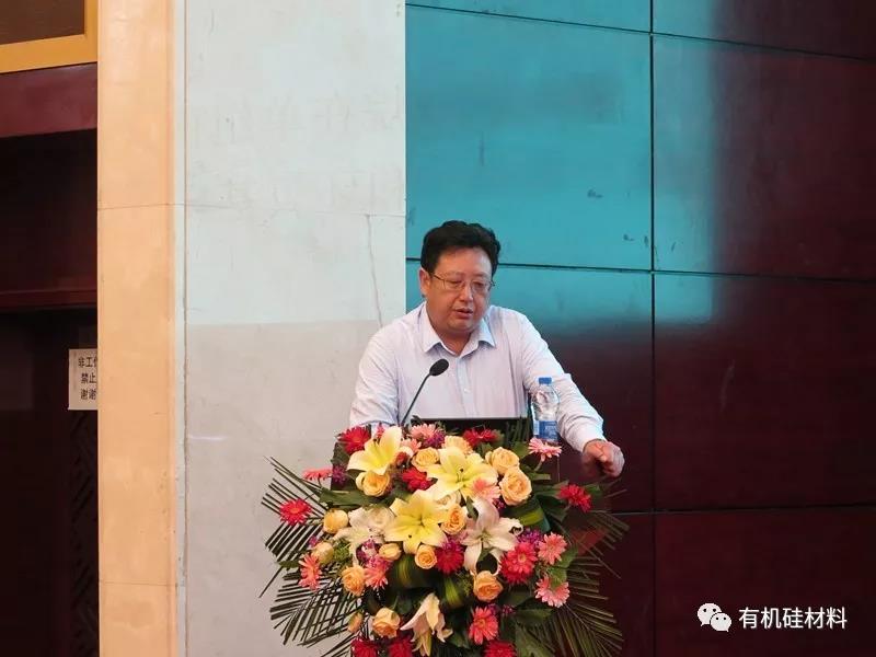 武漢東湖畔的有機(jī)硅思維浪花 ——“新藍(lán)天杯”第七屆硅烷及硅氧烷低聚物技術(shù)信息交流會(huì)成功召開