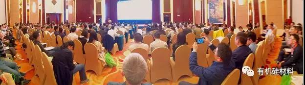 武漢東湖畔的有機(jī)硅思維浪花 ——“新藍(lán)天杯”第七屆硅烷及硅氧烷低聚物技術(shù)信息交流會(huì)成功召開