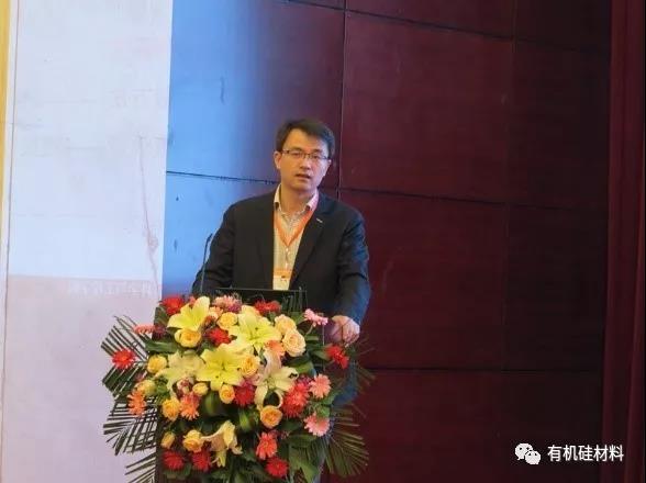 武漢東湖畔的有機(jī)硅思維浪花 ——“新藍(lán)天杯”第七屆硅烷及硅氧烷低聚物技術(shù)信息交流會(huì)成功召開