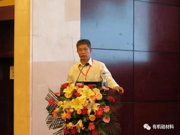 武漢東湖畔的有機(jī)硅思維浪花 ——“新藍(lán)天杯”第七屆硅烷及硅氧烷低聚物技術(shù)信息交流會(huì)成功召開