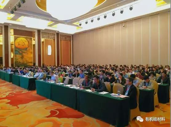 武漢東湖畔的有機(jī)硅思維浪花 ——“新藍(lán)天杯”第七屆硅烷及硅氧烷低聚物技術(shù)信息交流會(huì)成功召開
