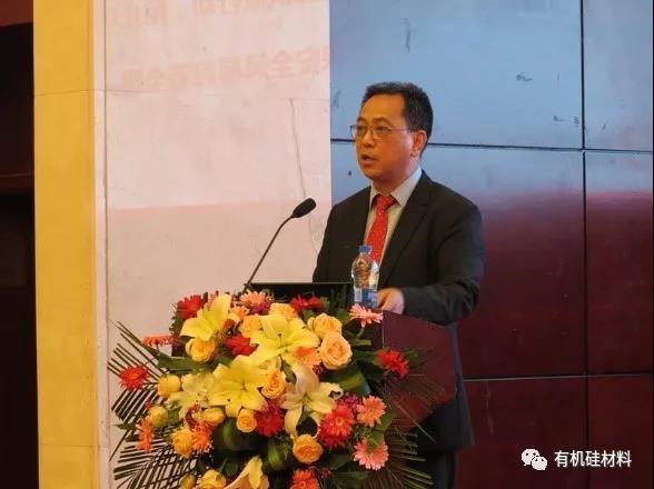武漢東湖畔的有機(jī)硅思維浪花 ——“新藍(lán)天杯”第七屆硅烷及硅氧烷低聚物技術(shù)信息交流會(huì)成功召開