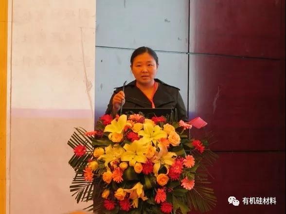 武漢東湖畔的有機(jī)硅思維浪花 ——“新藍(lán)天杯”第七屆硅烷及硅氧烷低聚物技術(shù)信息交流會(huì)成功召開