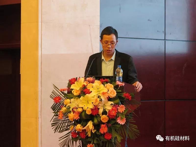 武漢東湖畔的有機(jī)硅思維浪花 ——“新藍(lán)天杯”第七屆硅烷及硅氧烷低聚物技術(shù)信息交流會(huì)成功召開